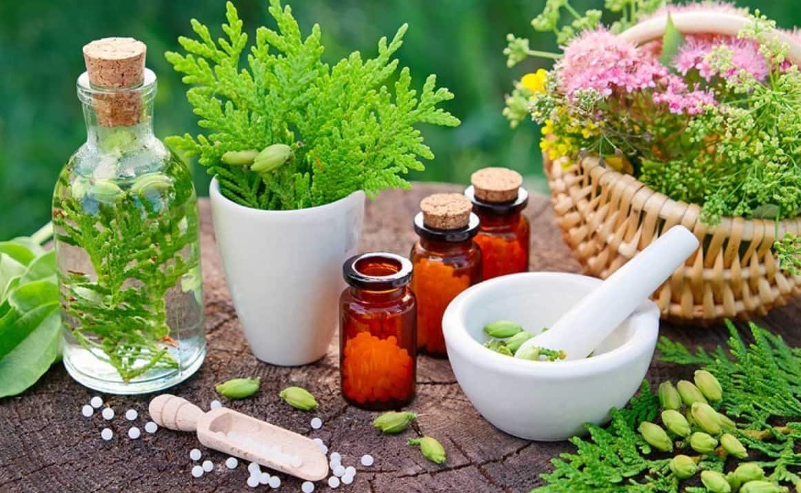گیاهان دارویی