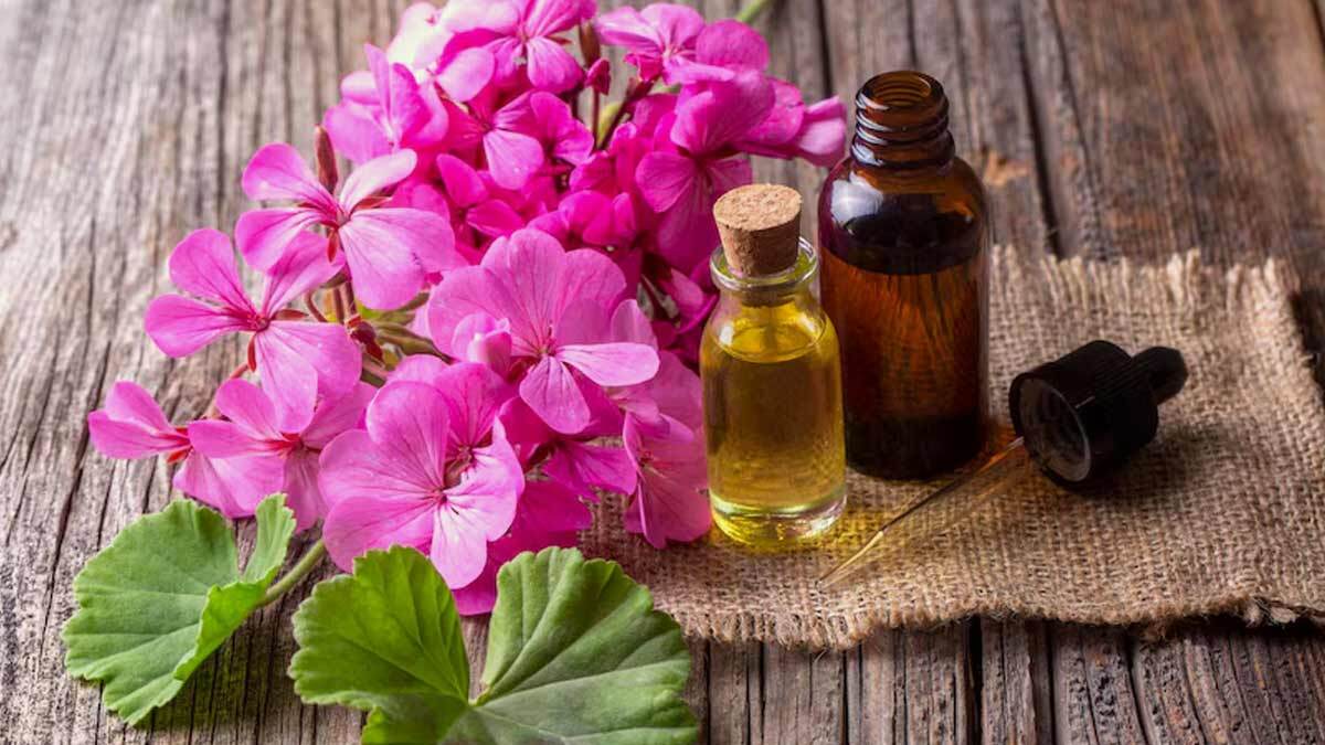 فواید روغن شمعدانی