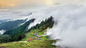 نوروز و طبیعت