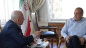 دیدار یونسی و پزشکیان